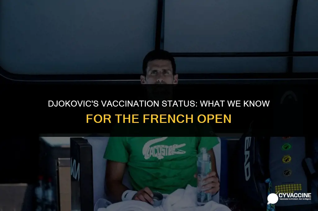 is djokovic vaccinated for french open