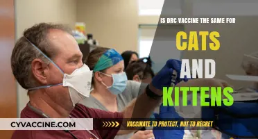 Is the DRC Vaccine Suitable for Both Cats and Kittens?
