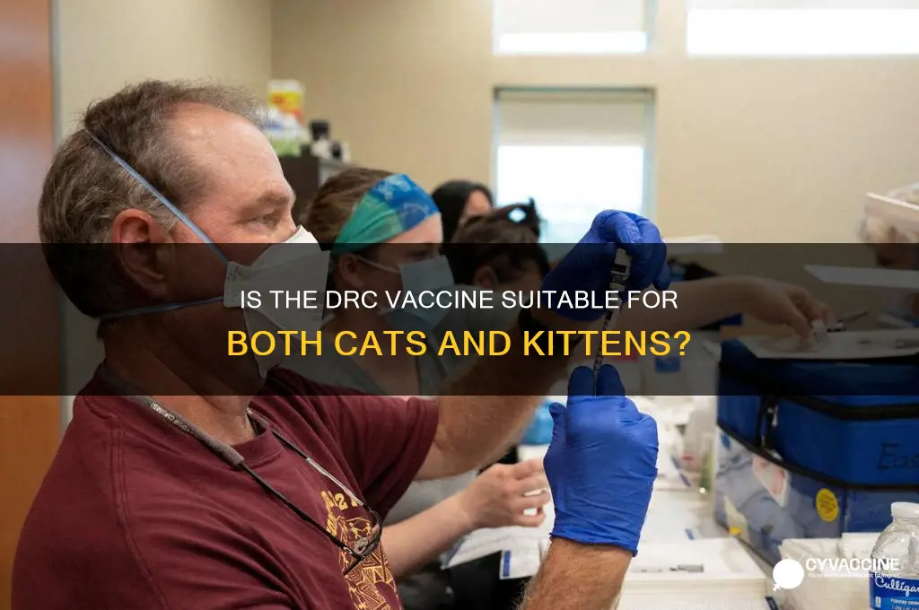 is drc vaccine the same for cats and kittens