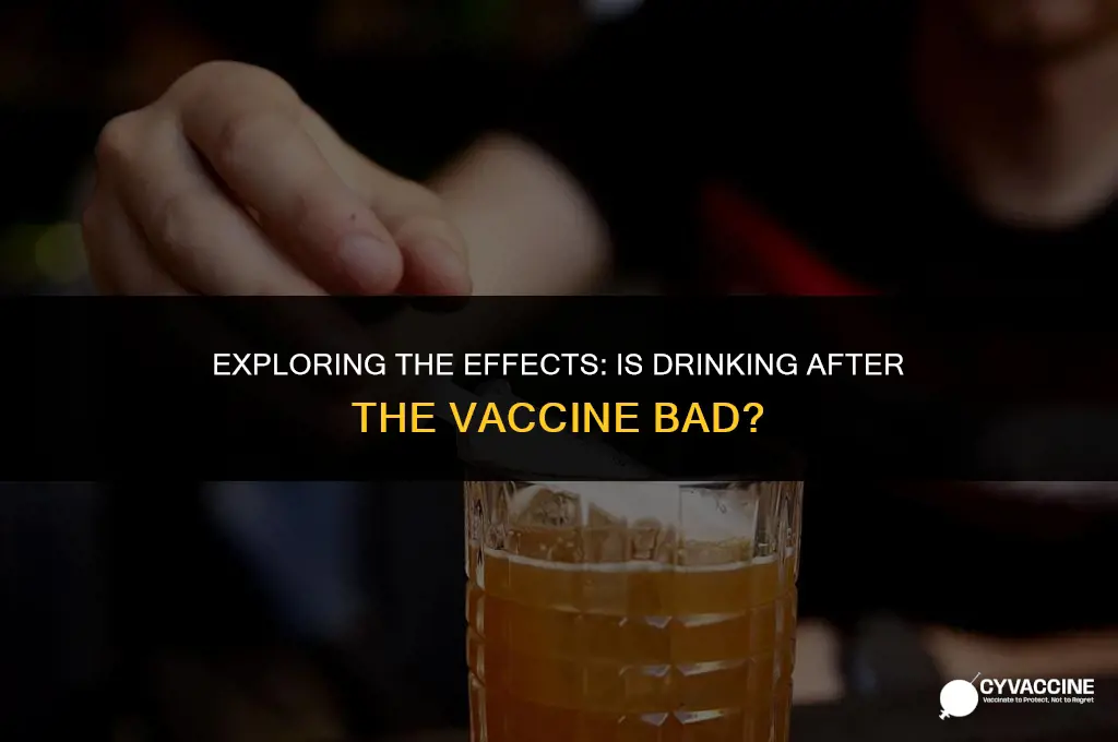 is drinking after the vaccine bad