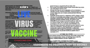 Is DTaP a Live Virus Vaccine? Understanding Its Composition and Safety