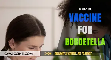 DTaP Vaccine: Protecting Against Bordetella and More