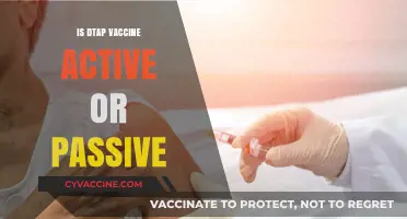 Understanding the DTAP Vaccine: Active or Passive Immunity?