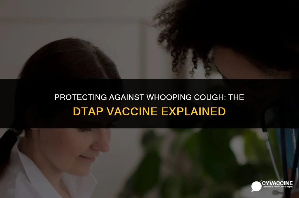 is dtap vaccine for whooping cough