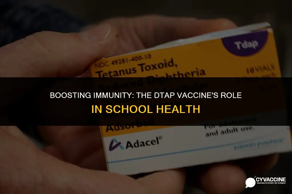 is dtap vaccine good for school