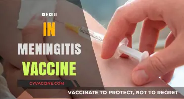 Exploring the Connection: E. Coli and Meningitis Vaccines