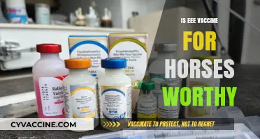 Evaluating the EEE Vaccine for Horses: Benefits and Considerations