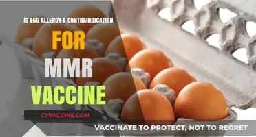 Egg Allergy and MMR Vaccine: Understanding Safety and Contraindications