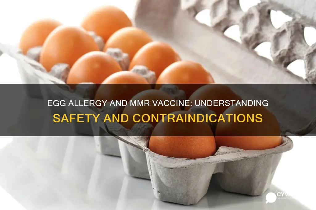is egg allergy a contraindication for mmr vaccine