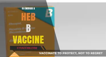 Exploring the Science: Is Energix a HEB B Vaccine?