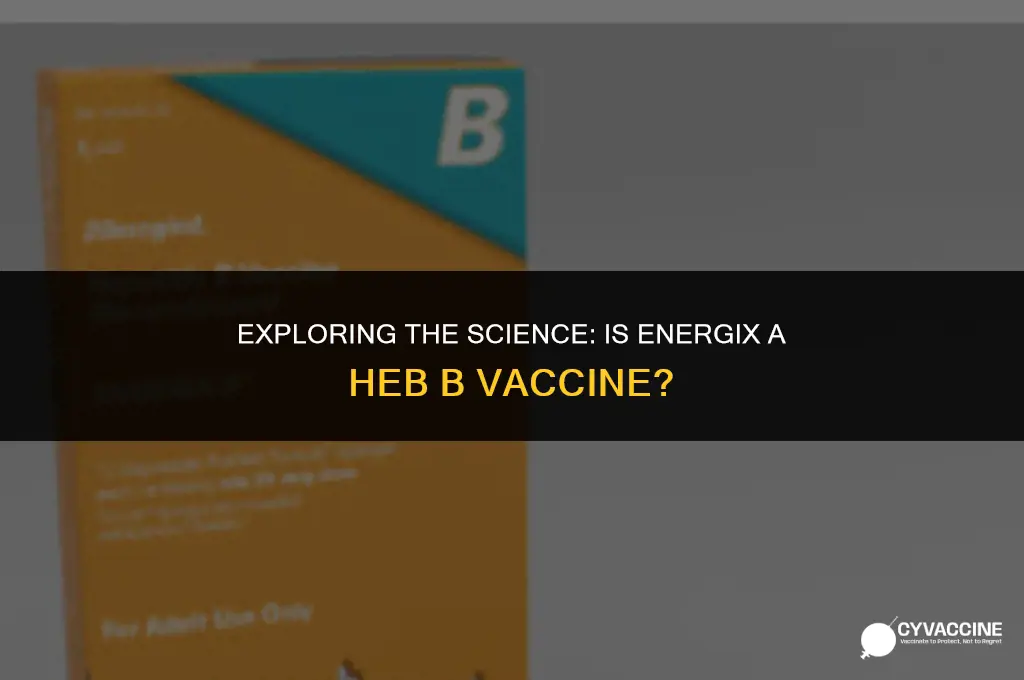 is energix a heb b vaccine