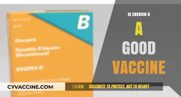 Exploring the Effectiveness of Energix B Vaccine: A Comprehensive Review