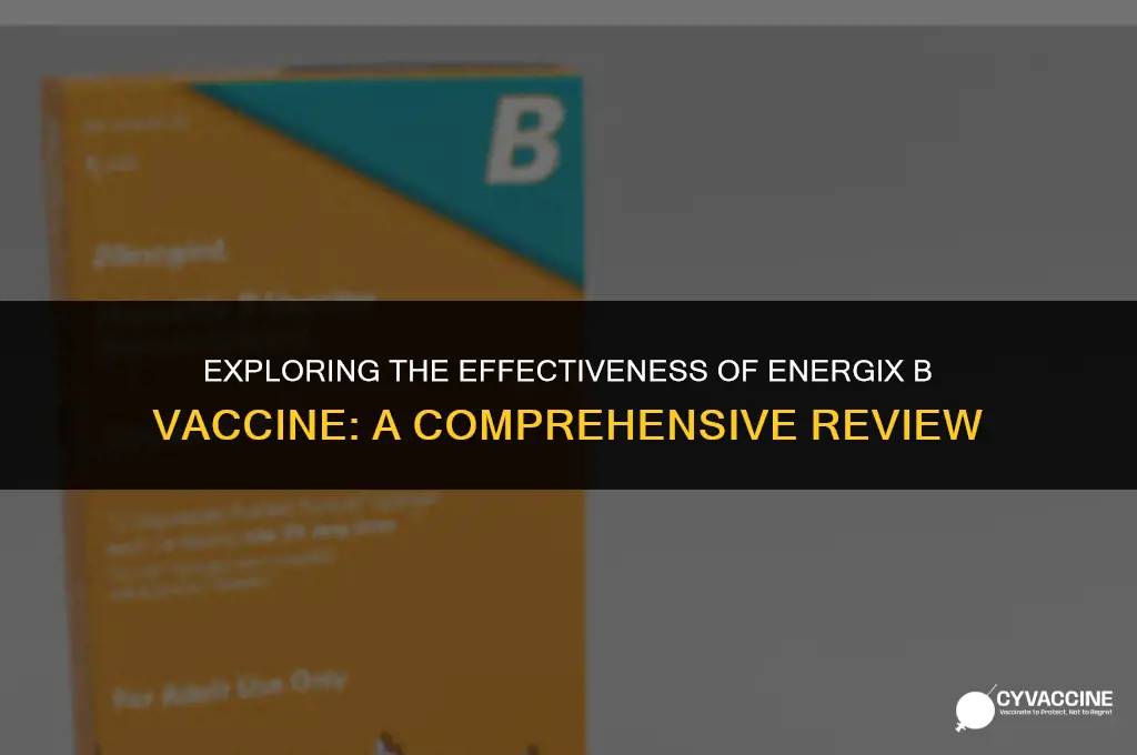 is energix b a good vaccine