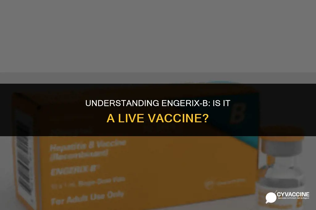 is engerix b a live vaccine