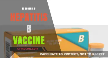 Understanding Engerix-B: Your Guide to Hepatitis B Protection