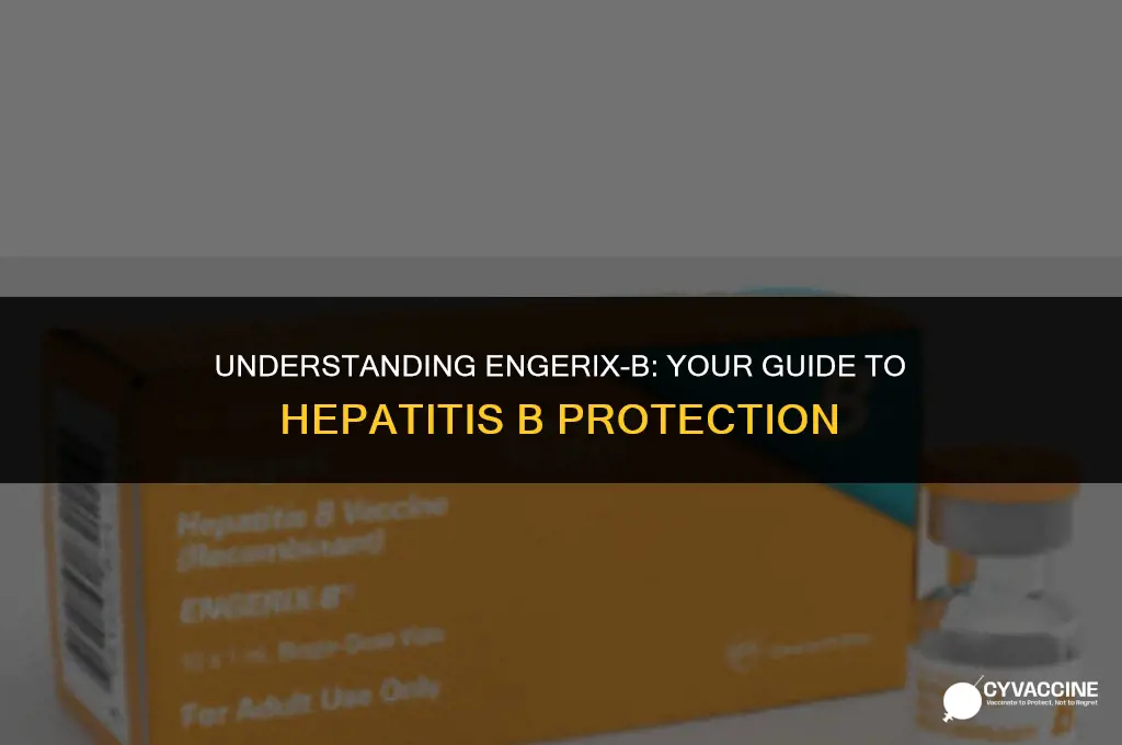 is engerix b hepatitis b vaccine