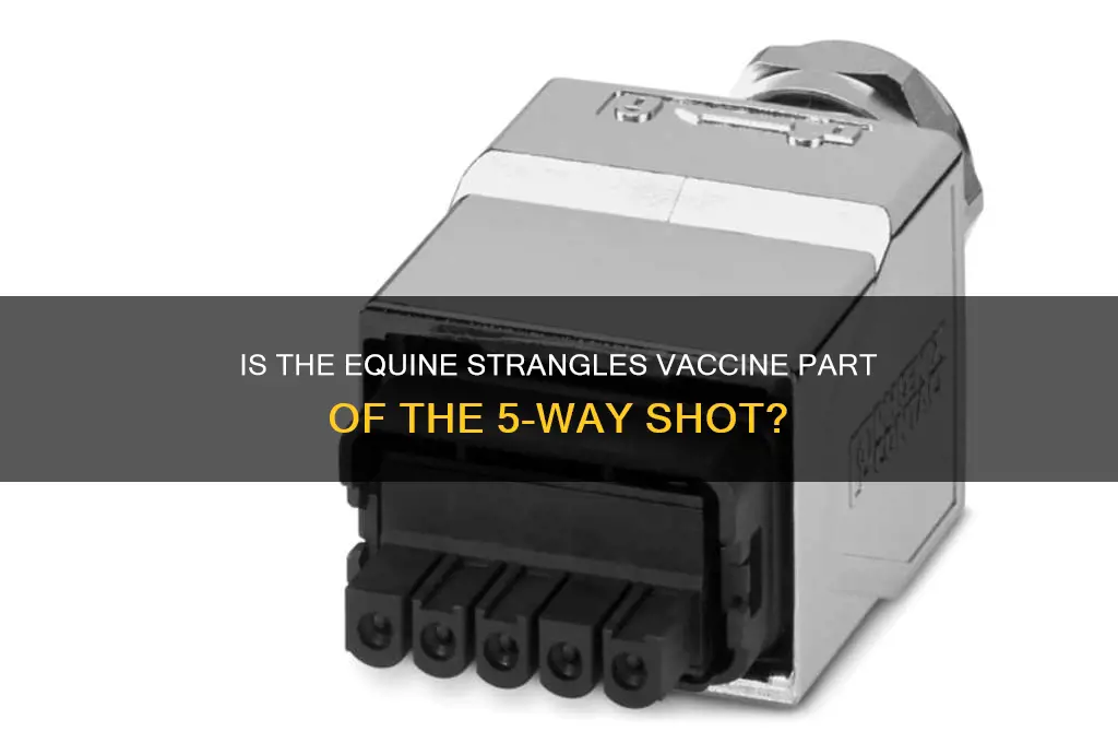 is equine strangles vaccine included in 5 way