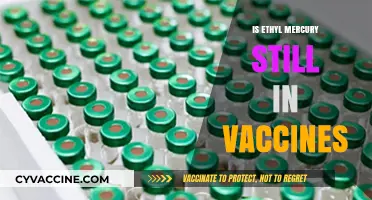 Unveiling the Truth: Ethyl Mercury's Presence in Modern Vaccines