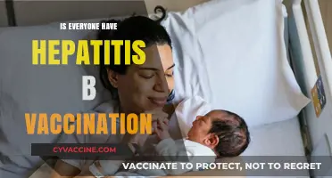 Hepatitis B Vaccination: A Global Health Imperative for All?