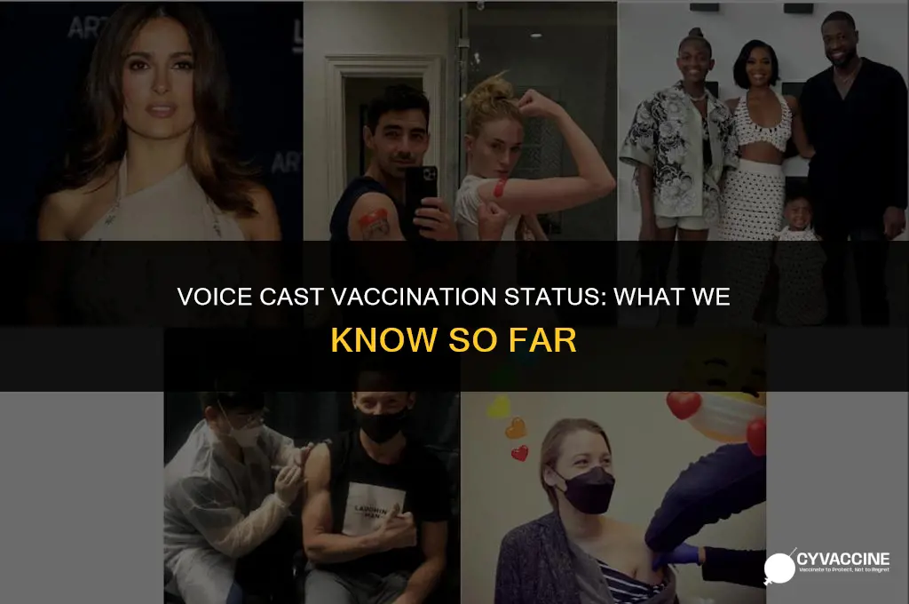 is everyone on the voice vaccinated