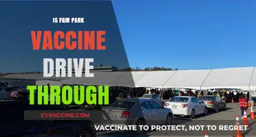 Fair Park Vaccine Drive-Through: Convenient Immunization Access
