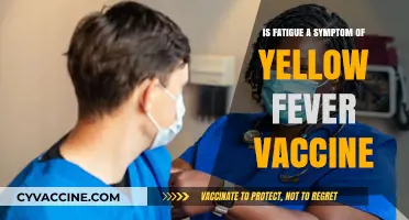 Yellow Fever Vaccine Side Effects: Understanding Fatigue and Recovery