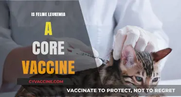Understanding Feline Leukemia: Is It a Core Vaccine for Cats?