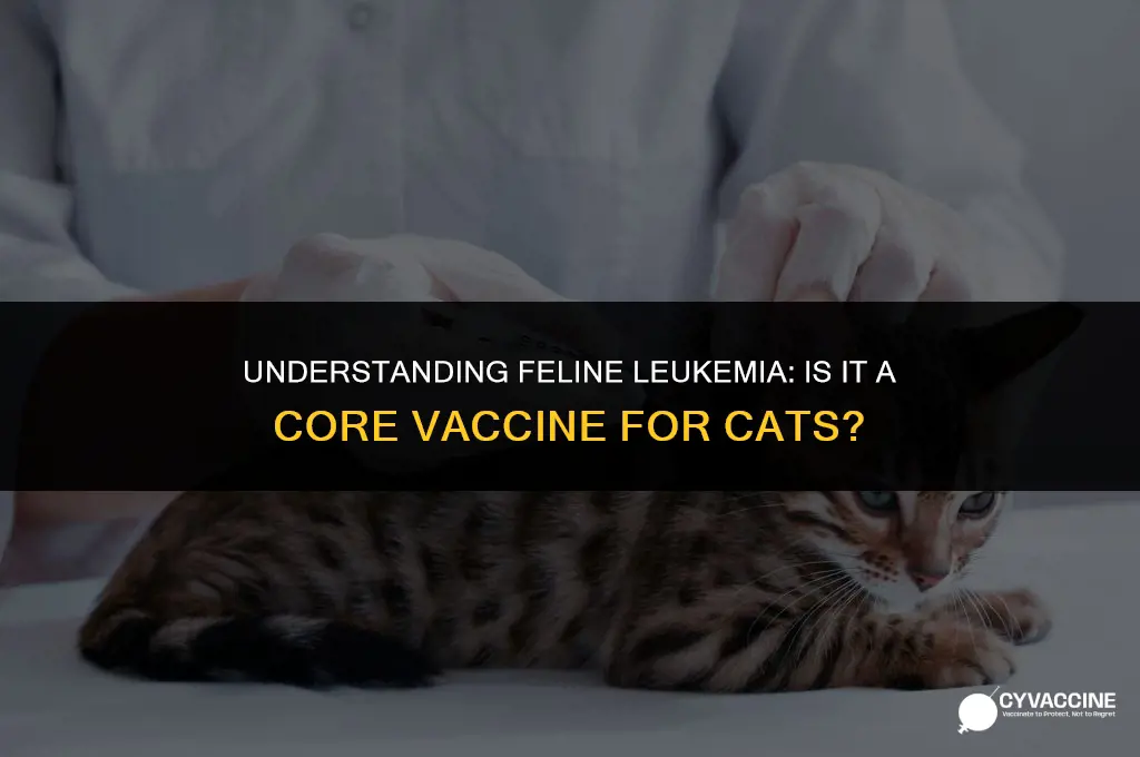 is feline leukemia a core vaccine