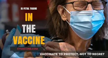 Exploring the Facts: Fetal Tissue in Vaccines - A Comprehensive Guide