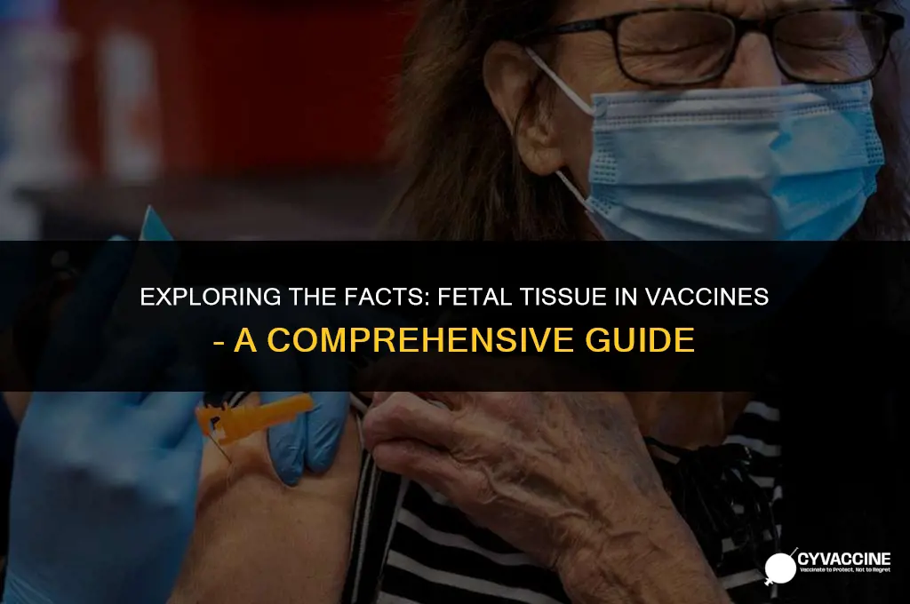 is fetal tissue in the vaccine