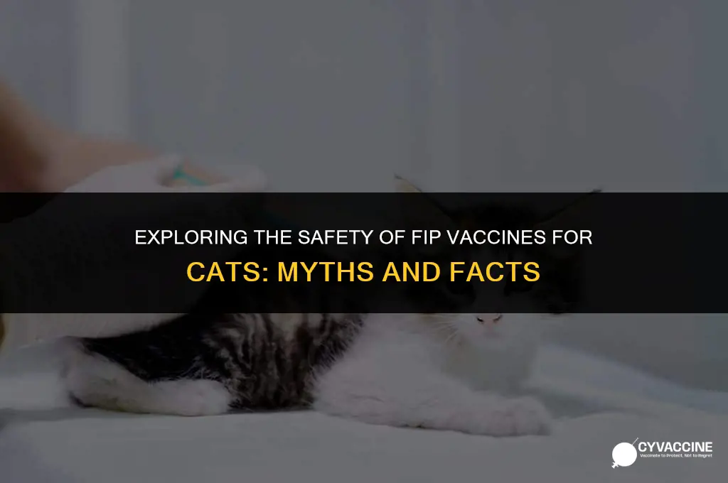 is fip vaccine dangerous to cats