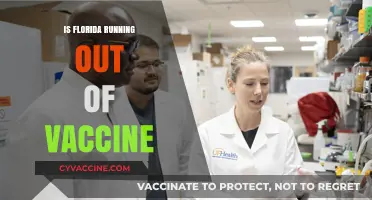 Florida's Vaccine Supply: Is the State Running Low?
