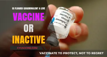 Fluarix Quadrivalent: Live or Inactive Vaccine? Understanding the Facts