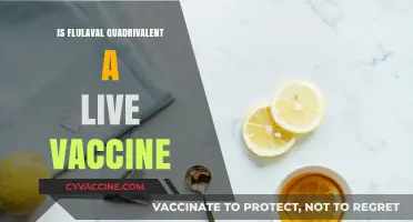 Understanding Flulaval Quadrivalent: Is It a Live Vaccine?