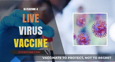 Understanding Fluzone: The Facts About Live Virus Vaccines