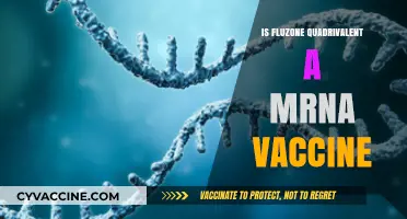 Unraveling the Science: Fluzone Quadrivalent and mRNA Technology