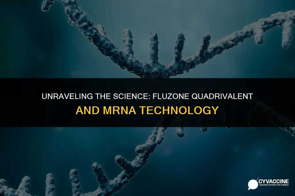 is fluzone quadrivalent a mrna vaccine