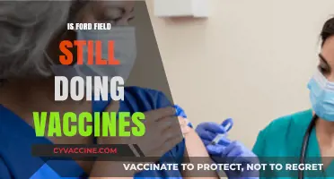 Ford Field Vaccine Clinic: Still Operational or Closed?