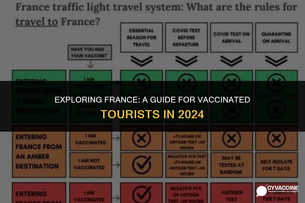 is france open to vaccinated tourists