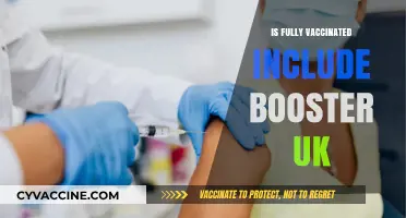Boosting Immunity: The Complete Guide to Full Vaccination in the UK