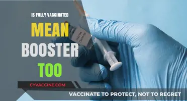 Understanding Full Vaccination: Does It Include Booster Shots?