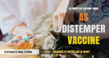 FVRCP vs. Distemper Vaccine: Are They the Same for Cats?