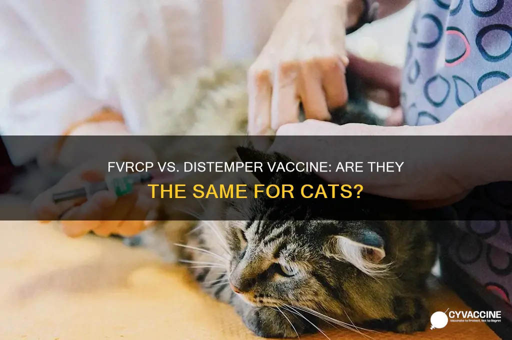 is fvrcp cat vaccine same as distemper vaccine