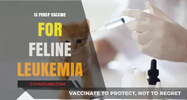 Exploring the FVRCP Vaccine: A Shield Against Feline Leukemia?