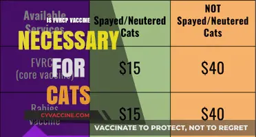 Exploring the Importance of FVRCP Vaccination for Feline Health