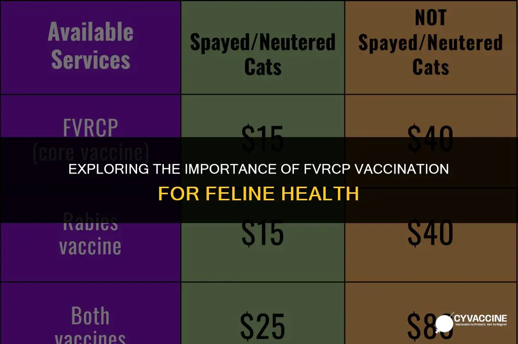 is fvrcp vaccine necessary for cats