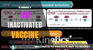 Understanding Gardasil 9: The Inactivated Vaccine for HPV Prevention