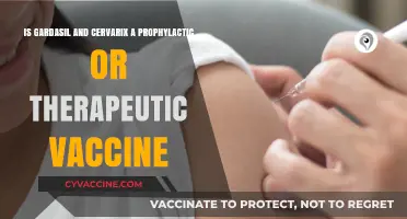 Gardasil and Cervarix: Prophylactic or Therapeutic Vaccines?