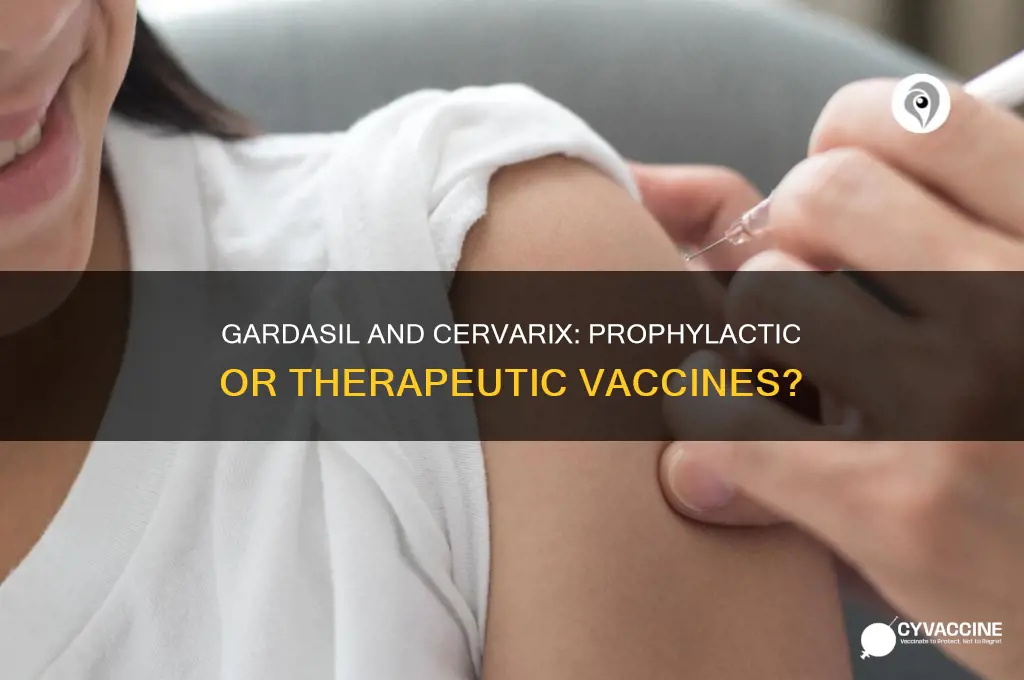 is gardasil and cervarix a prophylactic or therapeutic vaccine