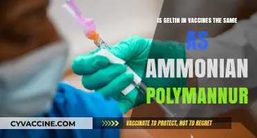 Gelatin vs. Ammonium Polymannurate: Unraveling Vaccine Ingredients and Safety
